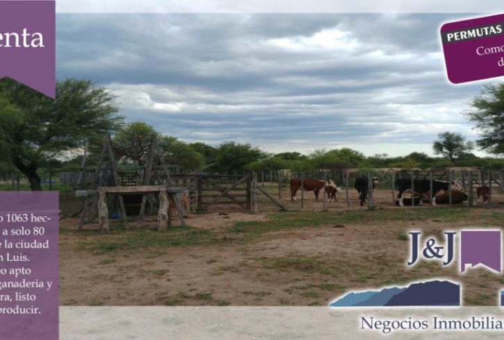 JYJ CAMPOS-TERRENOS NUEVO11