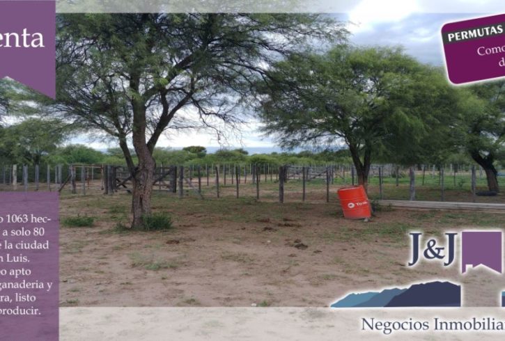 JYJ CAMPOS-TERRENOS NUEVO12