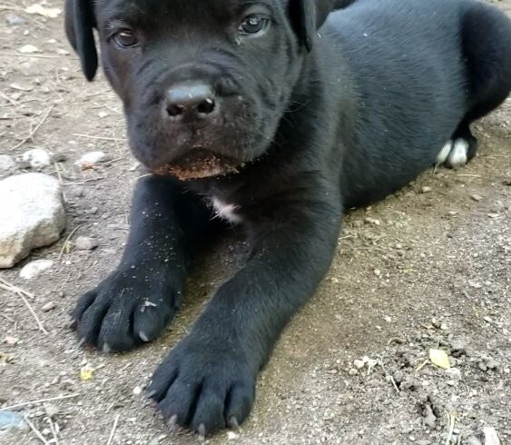 VideoCapture_20201207-202933