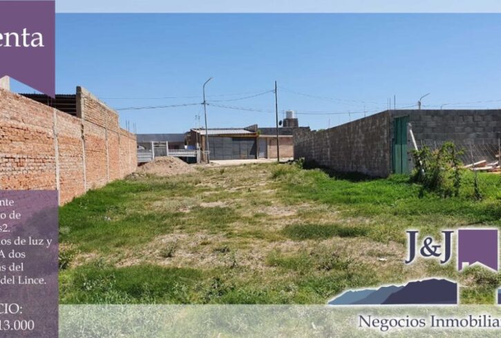 140385152_841178993115496_1767960177547908957_o 140385152_841178993115496_1767960177547908957_o