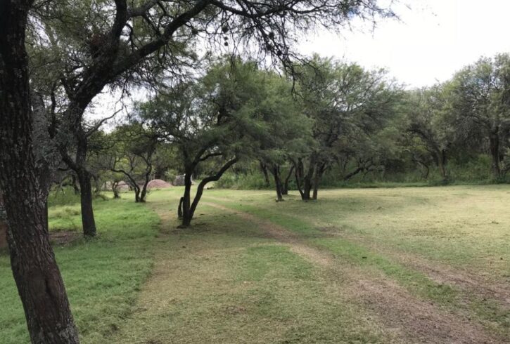 WhatsApp Image 2020-06-26 at 1.19.07 PM