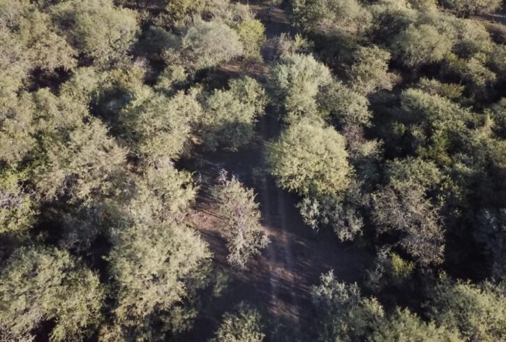 WhatsApp Image 2020-06-26 at 1.19.03 PM