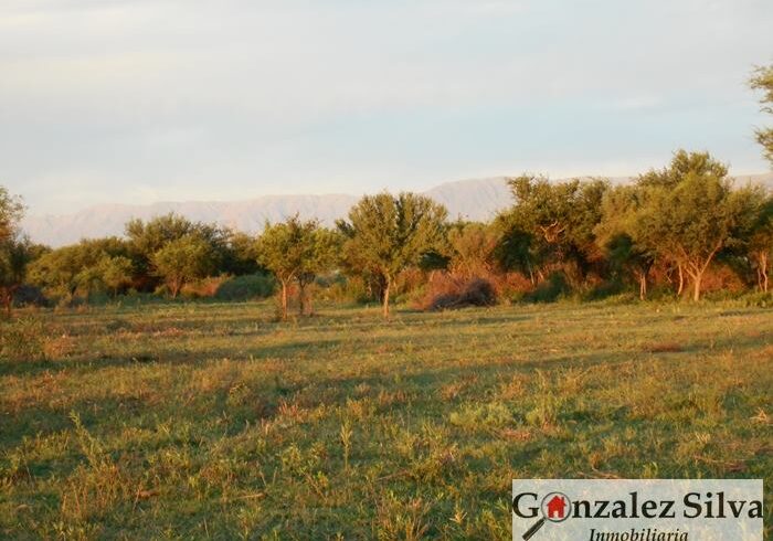 12799084_1072925262729254_922909847607605182_n 12799084_1072925262729254_922909847607605182_n