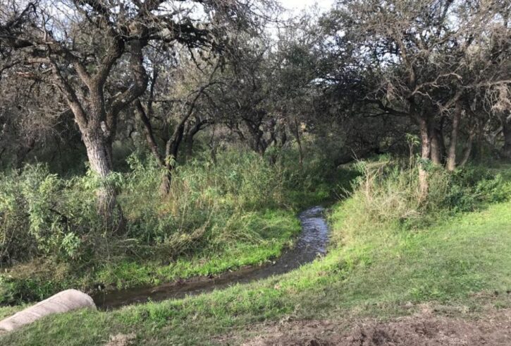 WhatsApp Image 2020-06-26 at 1.19.06 PM