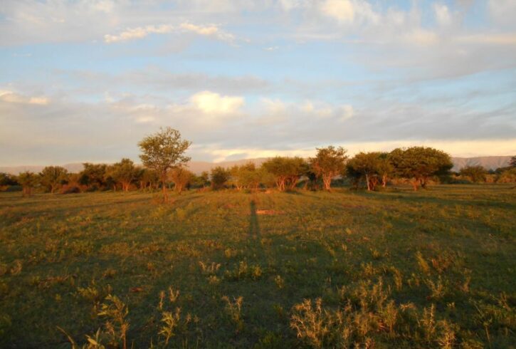 12646867_897207413710206_4833764274955420595_o 12646867_897207413710206_4833764274955420595_o