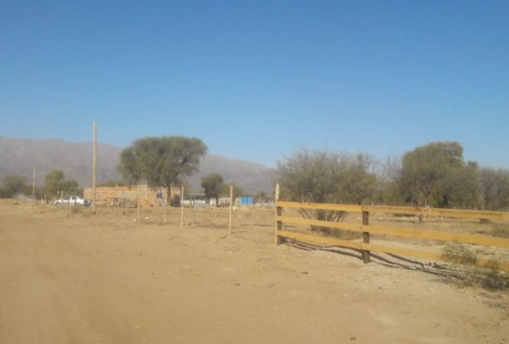 WhatsApp Image 2021-03-13 at 18.38.18