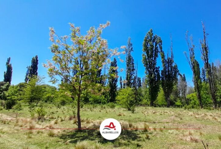 Lote en venta en Estancia Grande - Imagen3 Lote en venta en Estancia Grande - Imagen3