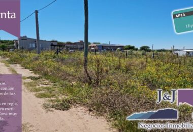 JYJ CAMPOS-TERRENOS NUEVO200