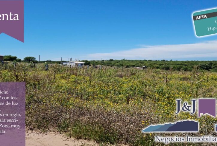 JYJ CAMPOS-TERRENOS NUEVO203 JYJ CAMPOS-TERRENOS NUEVO203