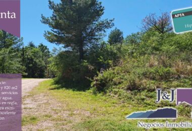 JYJ CAMPOS-TERRENOS NUEVO300