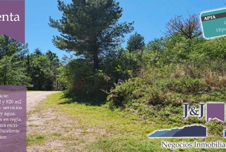 JYJ CAMPOS-TERRENOS NUEVO300 JYJ CAMPOS-TERRENOS NUEVO300