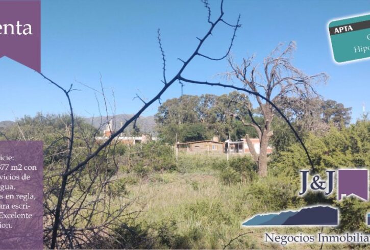 JYJ CAMPOS-TERRENOS NUEVO86 JYJ CAMPOS-TERRENOS NUEVO86