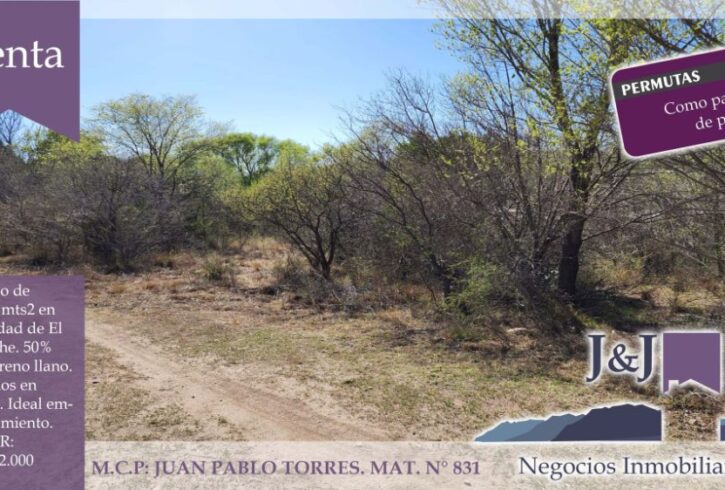 308016738_2313693758778909_5932902722877776435_n 308016738_2313693758778909_5932902722877776435_n