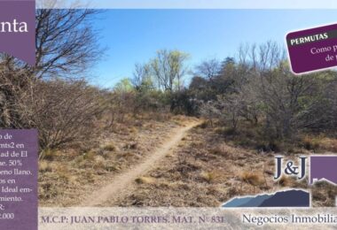 307584309_2313693755445576_867547993330189333_n