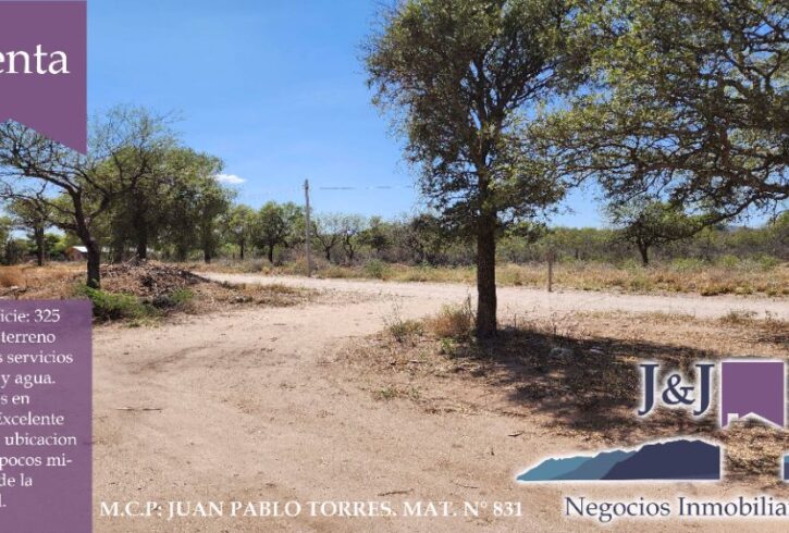 JYJ Venta23 JYJ Venta23