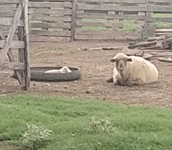 3b08bccf-167f-4b96-826e-b732f9571277