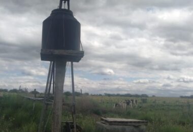 c59c6d59-f0a7-4ab7-bfe6-7d8890696dfc