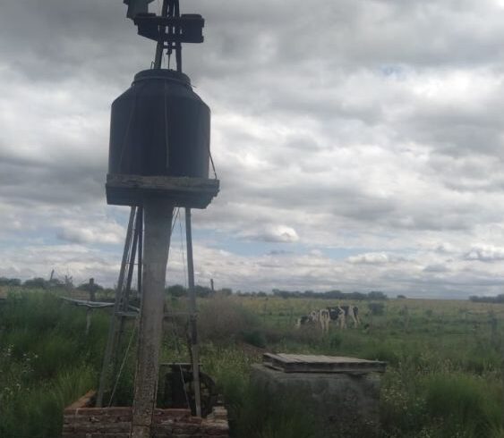 c59c6d59-f0a7-4ab7-bfe6-7d8890696dfc