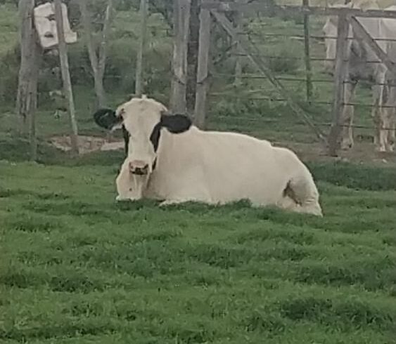 c7f02fbd-0f3b-4faa-8461-164e37e22ba7