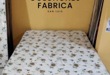 336639900_735468288065001_5290391632719649630_n