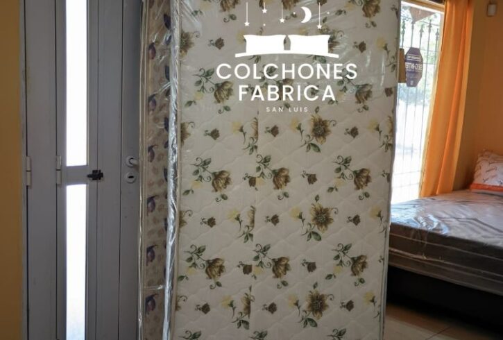 325644900_516188447320470_2235302581963863720_n 325644900_516188447320470_2235302581963863720_n