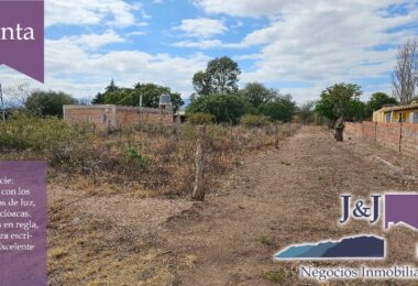 JYJ CAMPOS-TERRENOS NUEVO13