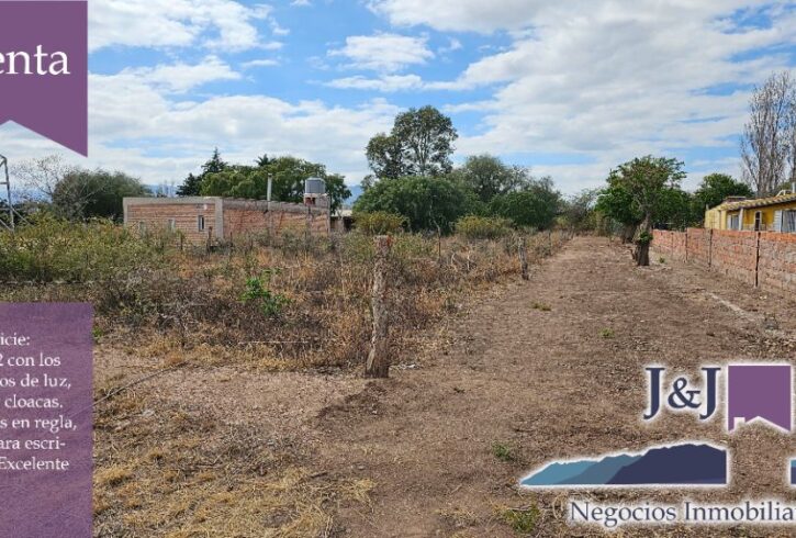 JYJ CAMPOS-TERRENOS NUEVO13