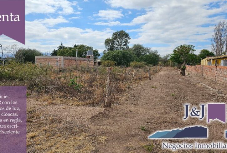 JYJ CAMPOS-TERRENOS NUEVO10