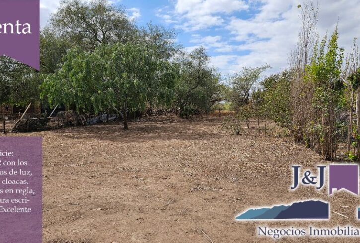 JYJ CAMPOS-TERRENOS NUEVO12