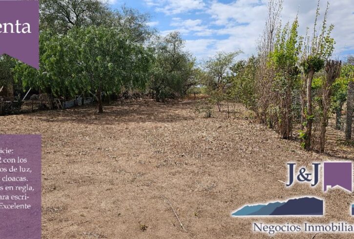 JYJ CAMPOS-TERRENOS NUEVO11