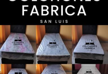 384578444_1558495271585860_4866309918517687896_n