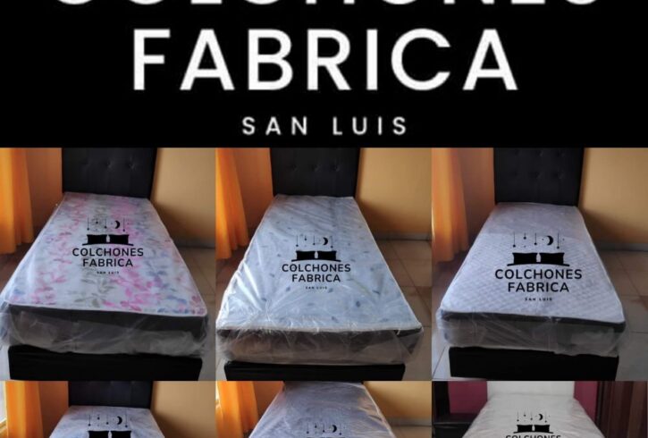 384578444_1558495271585860_4866309918517687896_n