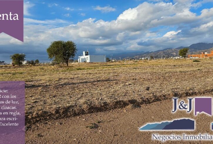 JYJ CAMPOS-TERRENOS NUEVO20