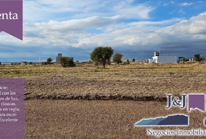 JYJ CAMPOS-TERRENOS NUEVO21