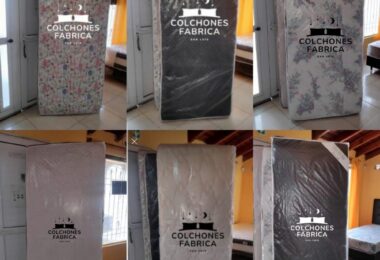 384575020_1558495168252537_6061079505098666619_n