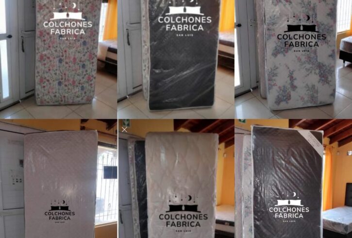 384575020_1558495168252537_6061079505098666619_n