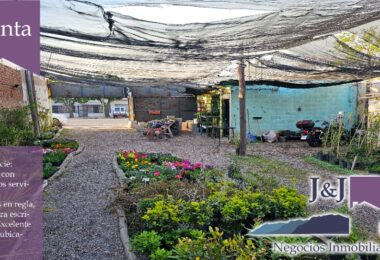 JYJ CAMPOS-TERRENOS NUEVO98