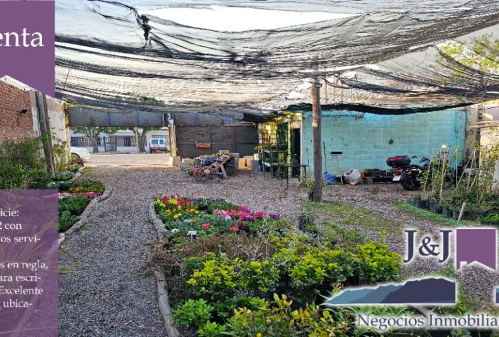 JYJ CAMPOS-TERRENOS NUEVO98 JYJ CAMPOS-TERRENOS NUEVO98