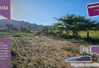 JYJ CAMPOS-TERRENOS NUEVO62