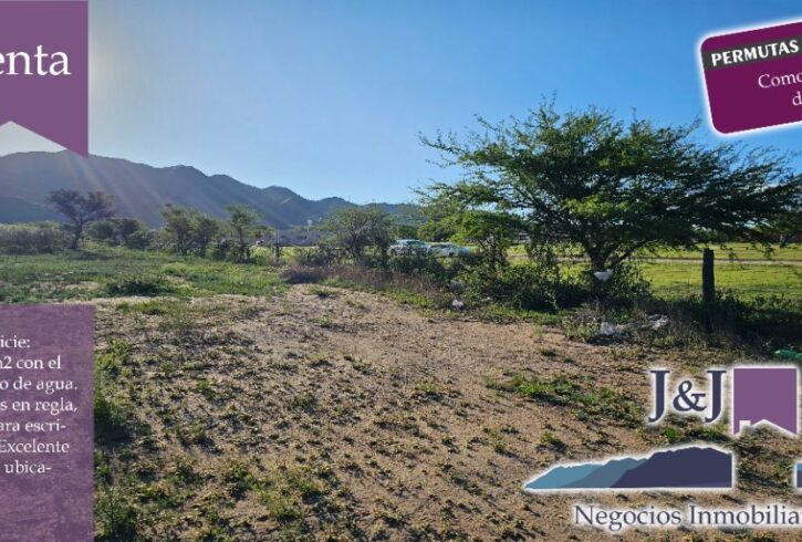 JYJ CAMPOS-TERRENOS NUEVO62