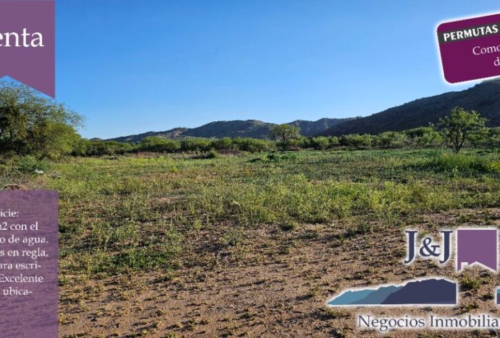 JYJ CAMPOS-TERRENOS NUEVO61