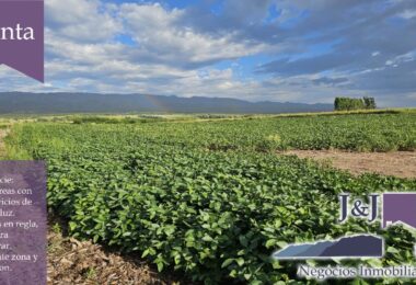 JYJ CAMPOS-TERRENOS NUEVO72