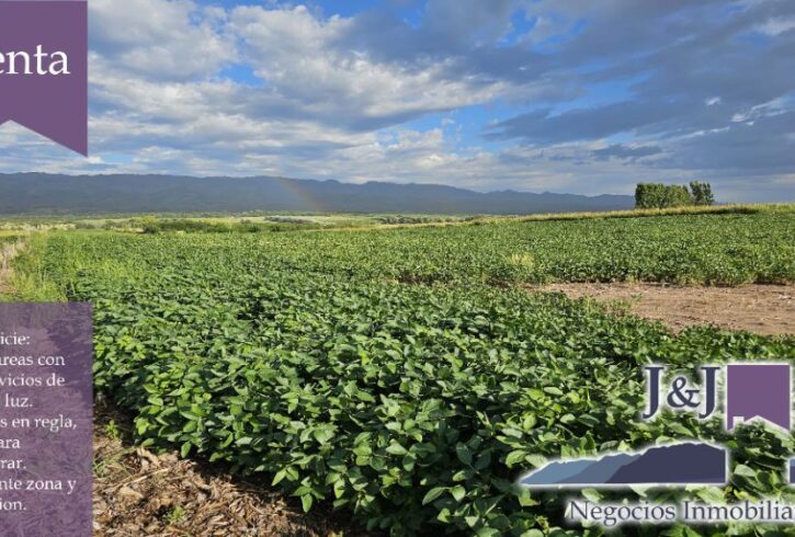 JYJ CAMPOS-TERRENOS NUEVO72 JYJ CAMPOS-TERRENOS NUEVO72