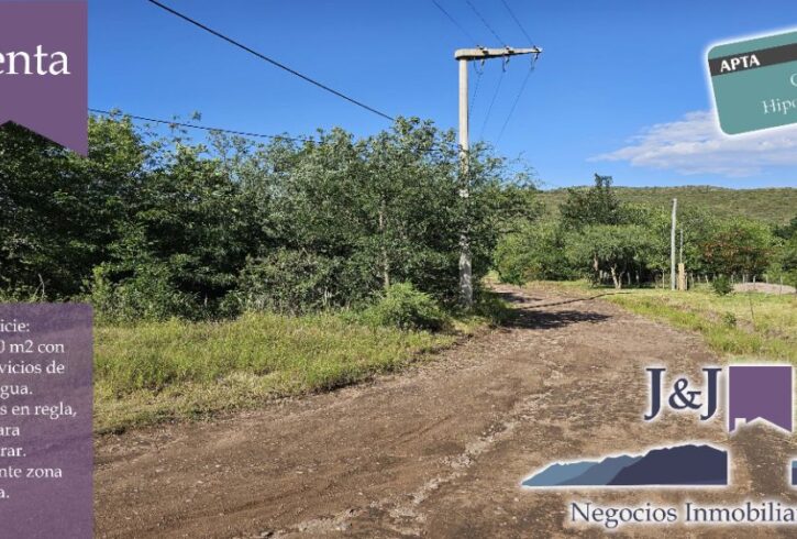 JYJ CAMPOS-TERRENOS NUEVO61 JYJ CAMPOS-TERRENOS NUEVO61