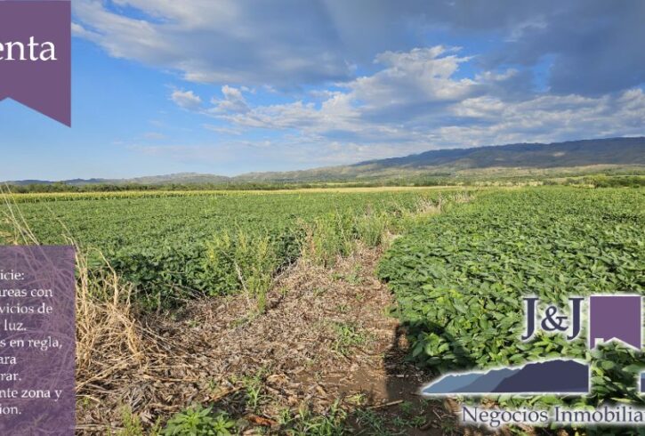 JYJ CAMPOS-TERRENOS NUEVO71 JYJ CAMPOS-TERRENOS NUEVO71