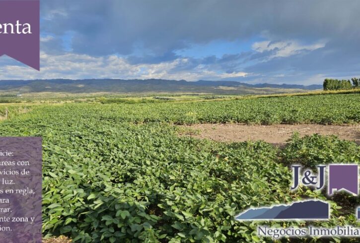 JYJ CAMPOS-TERRENOS NUEVO70 JYJ CAMPOS-TERRENOS NUEVO70