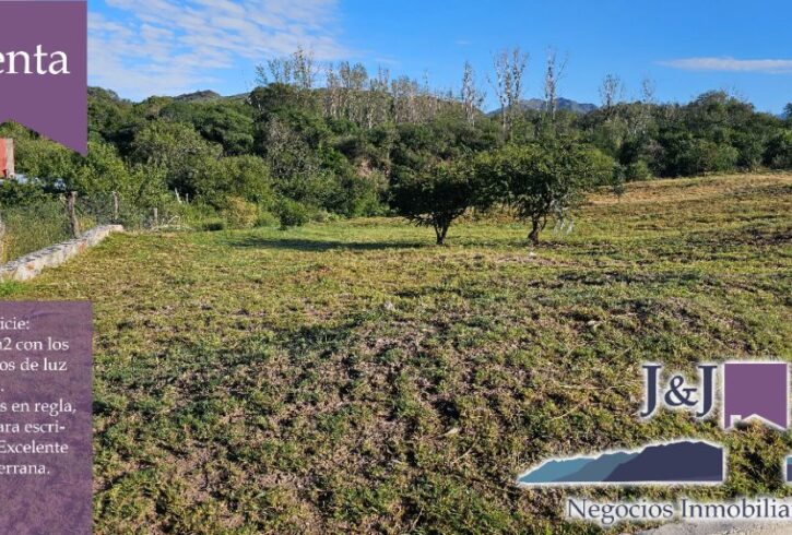 JYJ CAMPOS-TERRENOS NUEVO61