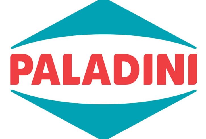 logo paladini logo paladini
