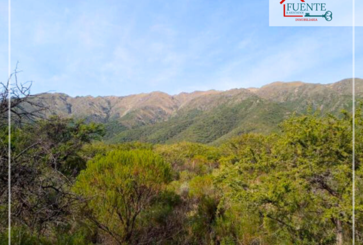 CAMPO CON ARROYO EN LOS MOLLES - VENTA PERMUTAt - Imagen4