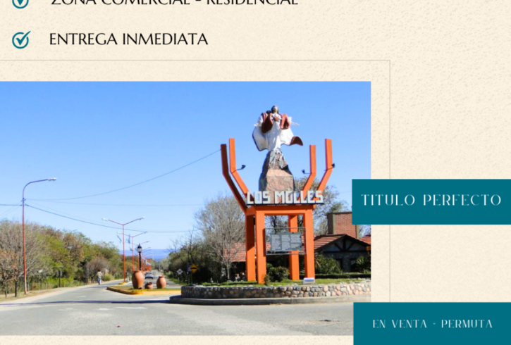 CAMPO CON ARROYO EN LOS MOLLES - VENTA PERMUTAt - Imagen3